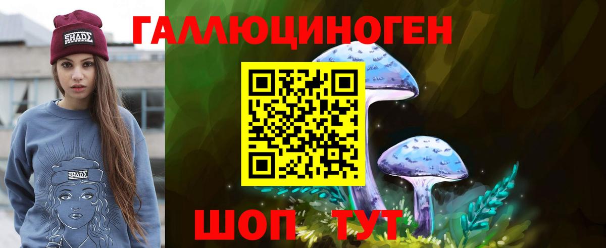 Галлюциногенные грибы Psilocybe  Вход с VPN  Озёрск  Псилоцибиновые грибы Psilocybe 